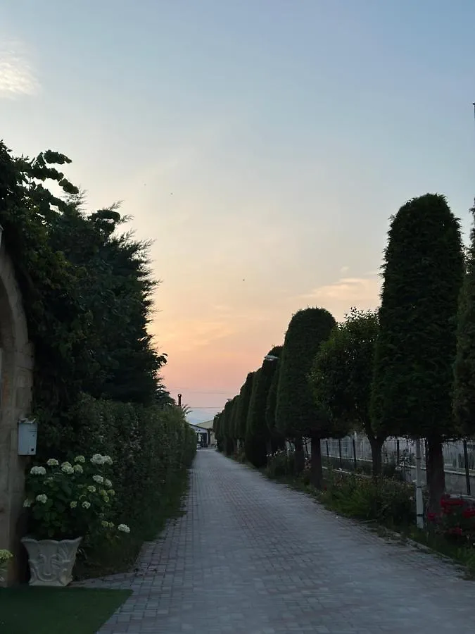 ****  Rritja E Koranit Hotel Tushemisht Albania